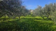 Sivas Ihr Zuhause im kretischen Bergidyll: 1.498 m² Bauland nahe Sivas Kern, Kreta Grundstück kaufen